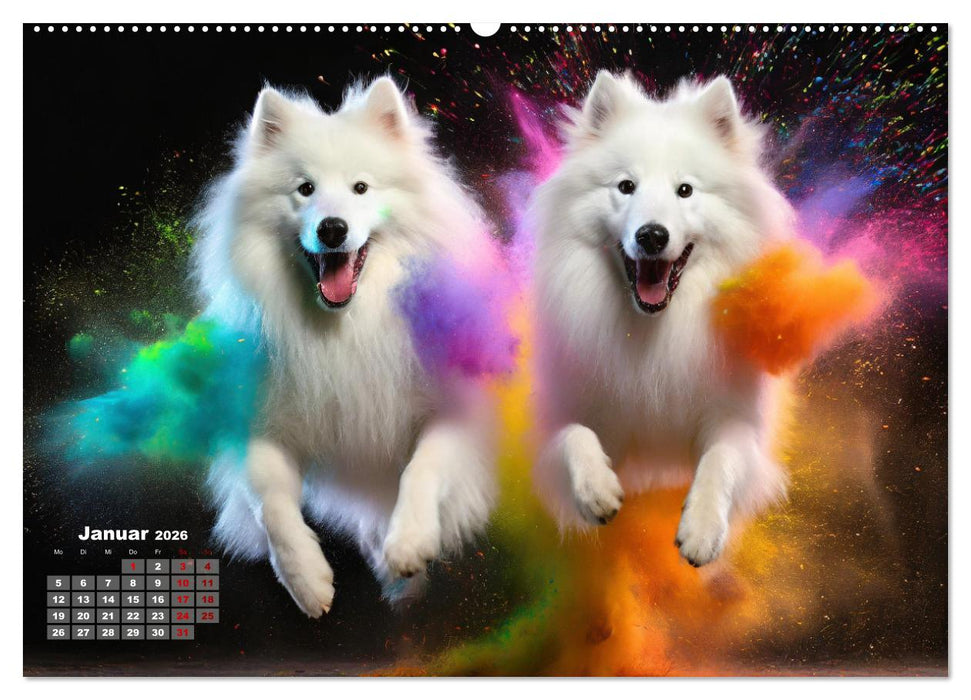 Holi Pulver - Doppelte Action (CALVENDO Wandkalender 2026)