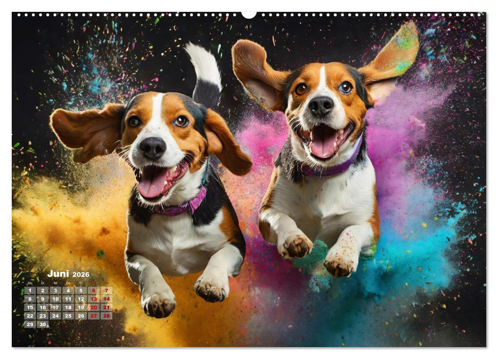 Holi Pulver - Doppelte Action (CALVENDO Wandkalender 2026)