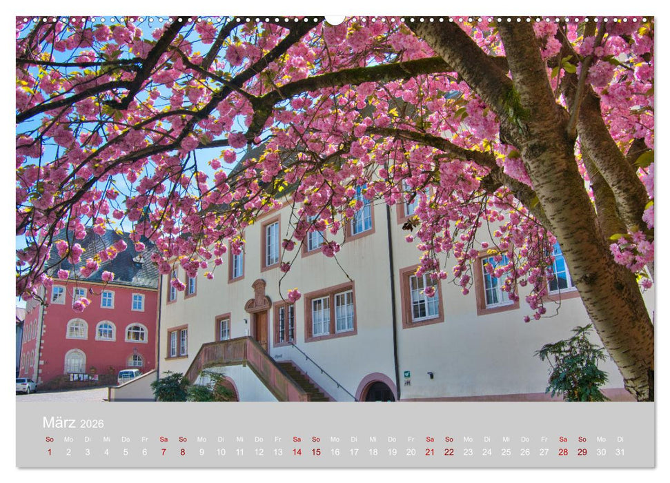 Ettenheim - Perle der Ortenau (CALVENDO Wandkalender 2026)
