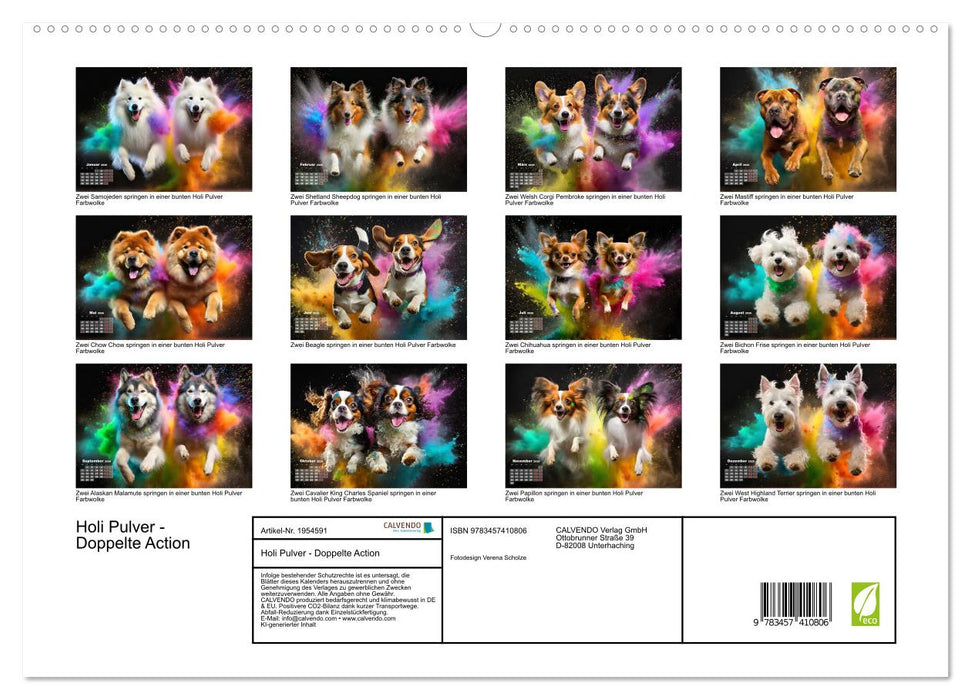 Holi Pulver - Doppelte Action (CALVENDO Premium Wandkalender 2026)