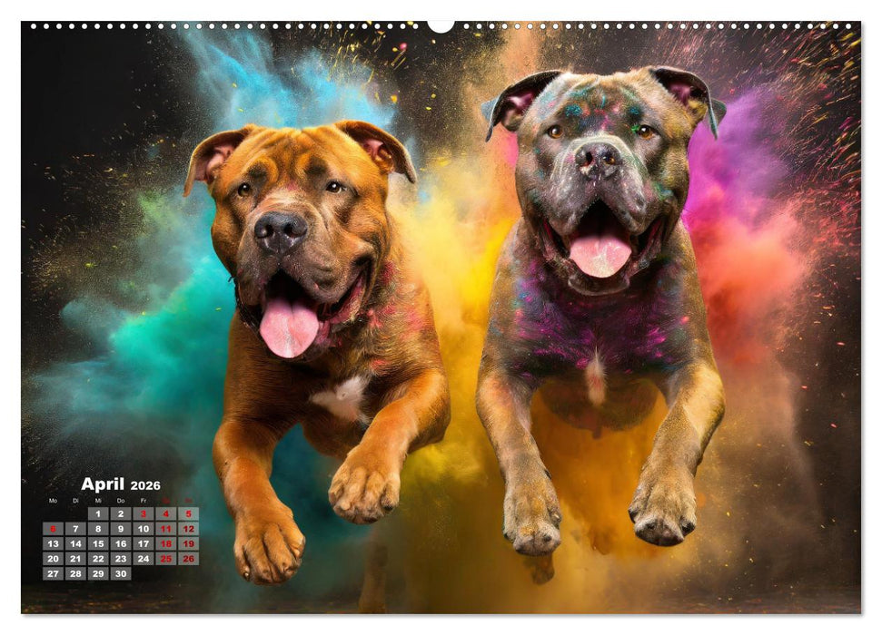 Holi Pulver - Doppelte Action (CALVENDO Premium Wandkalender 2026)
