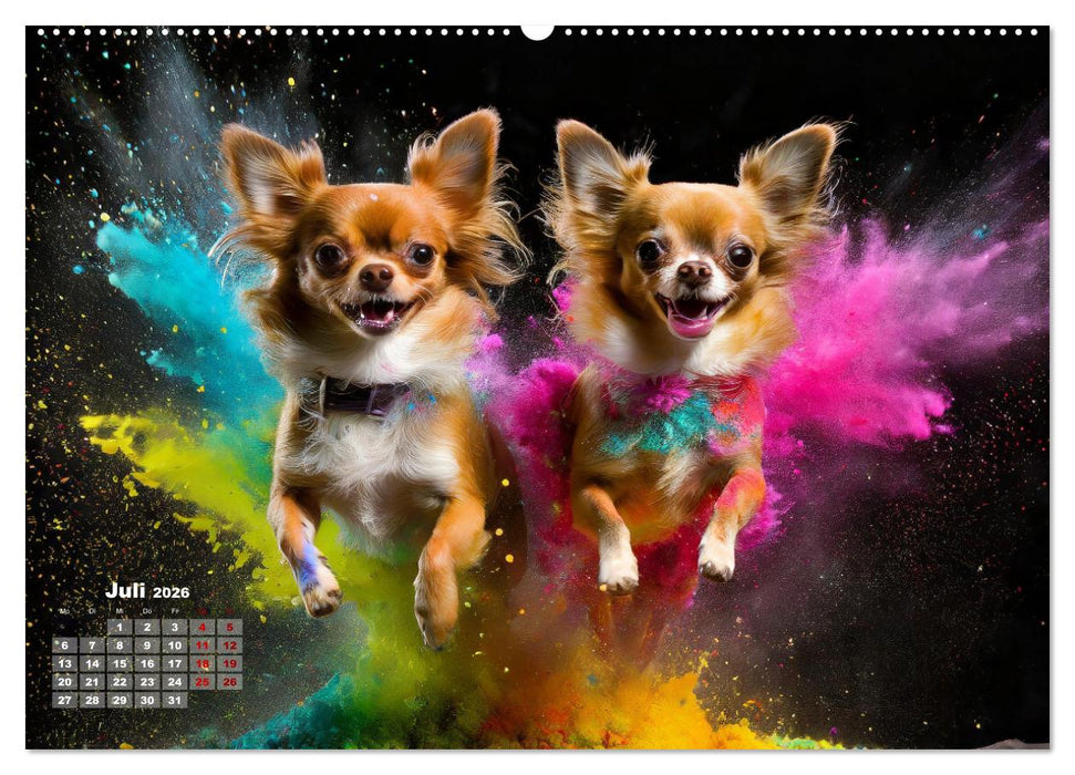 Holi Pulver - Doppelte Action (CALVENDO Premium Wandkalender 2026)