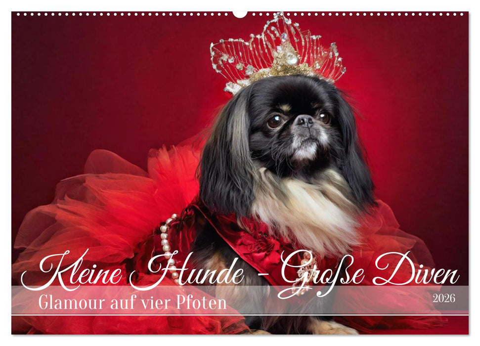 Kleine Hunde - Große Diven (CALVENDO Wandkalender 2026)
