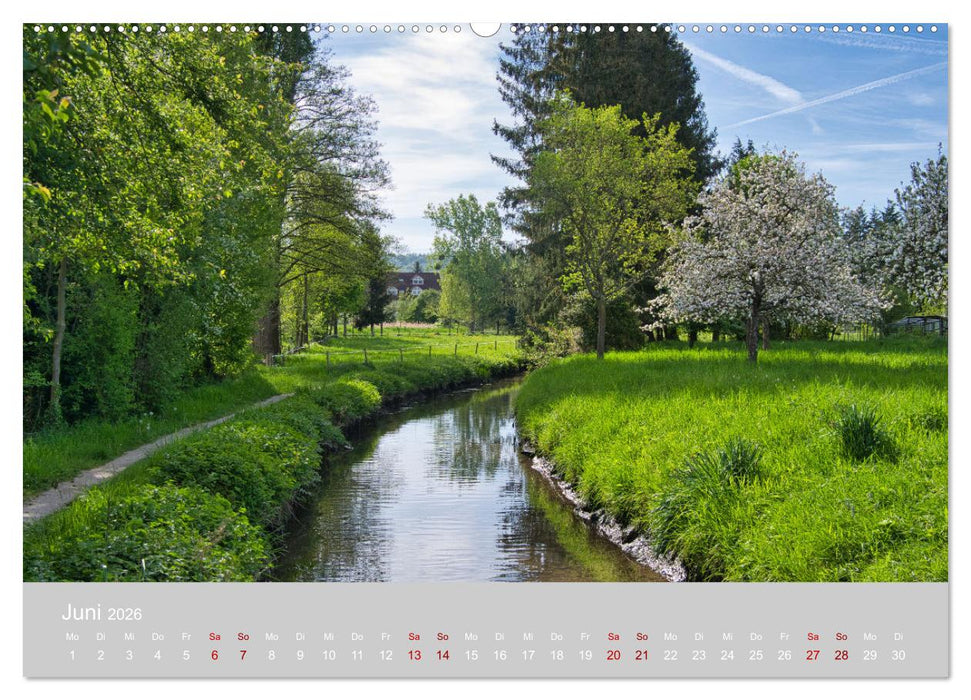 Ettenheim - Perle der Ortenau (CALVENDO Premium Wandkalender 2026)