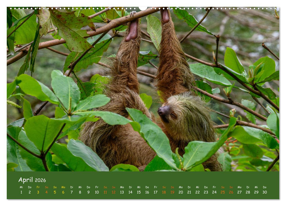 Costa Rica - Naturparadies zwischen Karibik und Pazifik (CALVENDO Premium Wandkalender 2026)