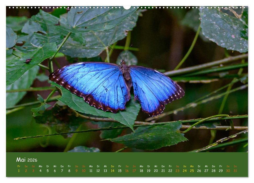Costa Rica - Naturparadies zwischen Karibik und Pazifik (CALVENDO Premium Wandkalender 2026)