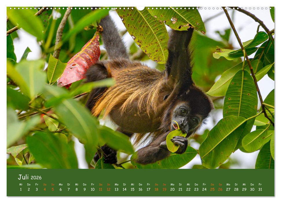 Costa Rica - Naturparadies zwischen Karibik und Pazifik (CALVENDO Premium Wandkalender 2026)