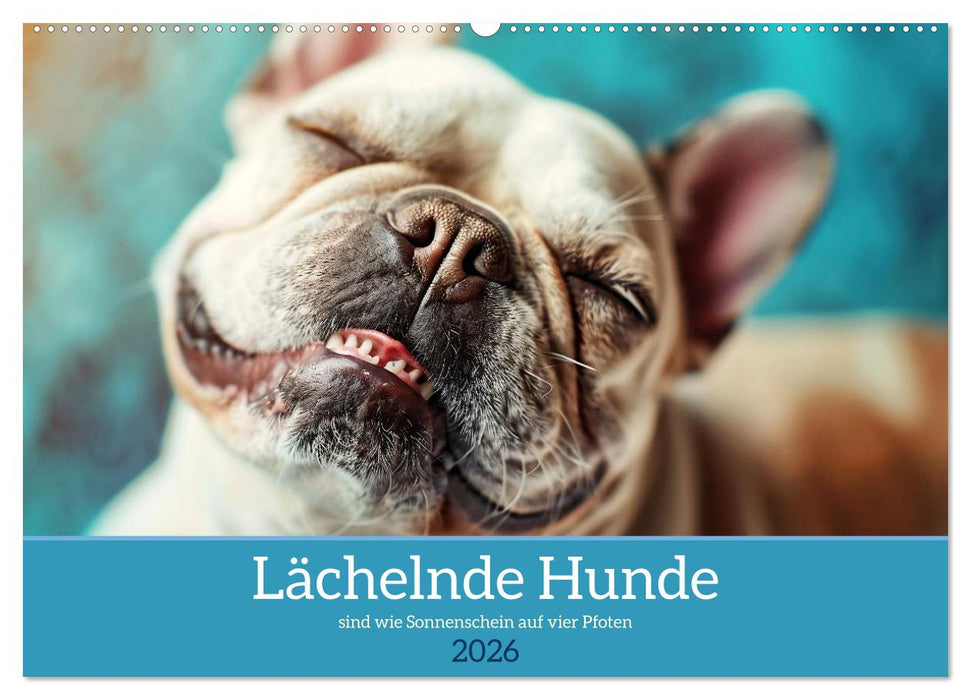 Lächelnde Hunde sind wie Sonnenschein auf vier Pfoten (CALVENDO Wandkalender 2026)