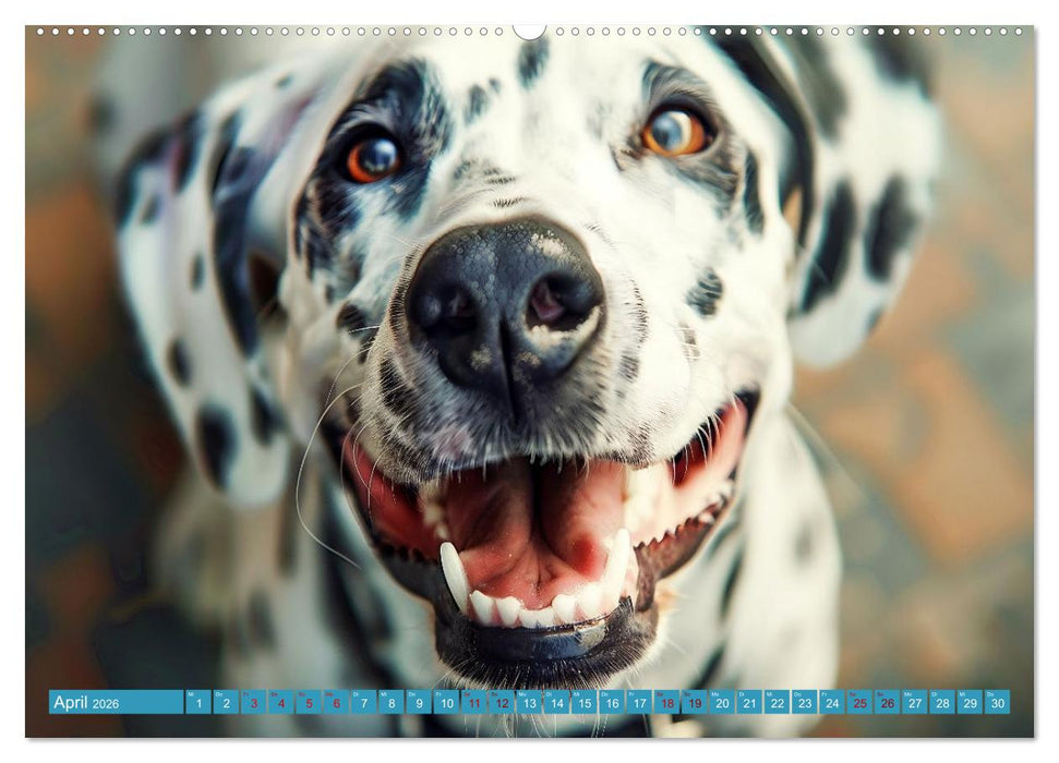 Lächelnde Hunde sind wie Sonnenschein auf vier Pfoten (CALVENDO Wandkalender 2026)