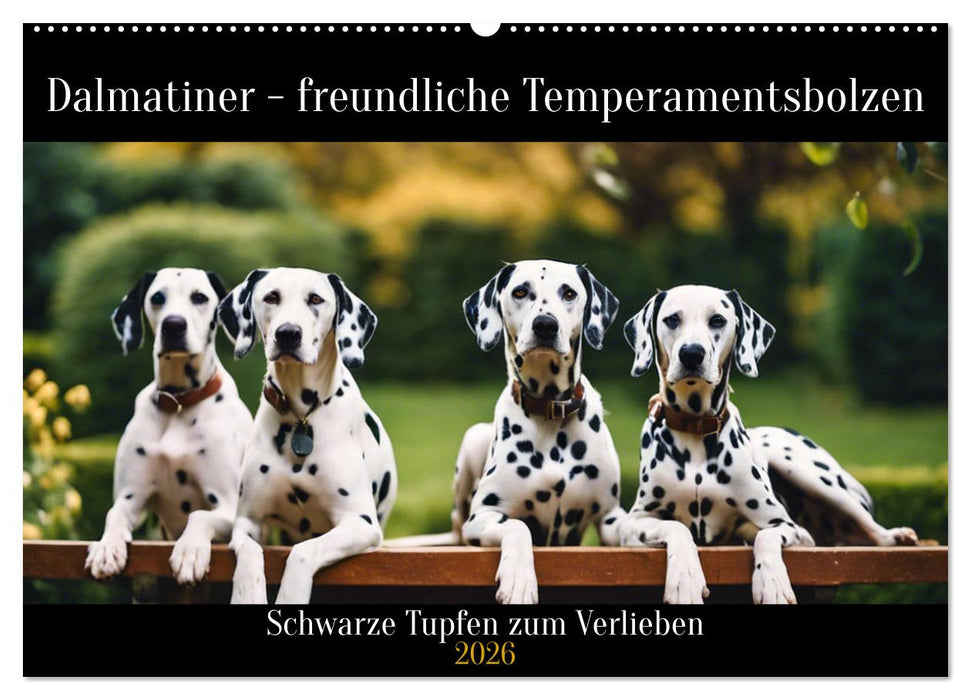 Dalmatiner - freundliche Temperamentsbolzen (CALVENDO Wandkalender 2026)