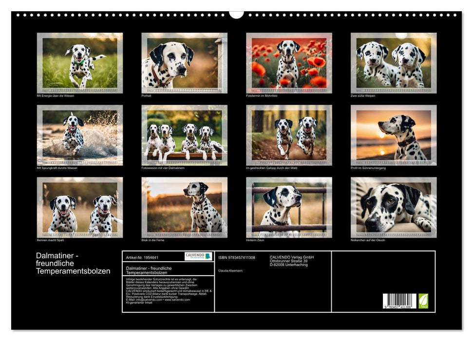 Dalmatiner - freundliche Temperamentsbolzen (CALVENDO Wandkalender 2026)