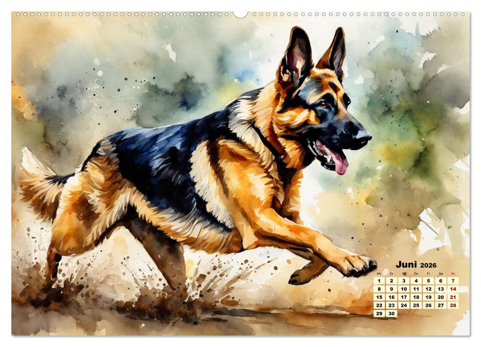 Deutsche Schäferhunde - Klassiker rund um den Globus (CALVENDO Wandkalender 2026)