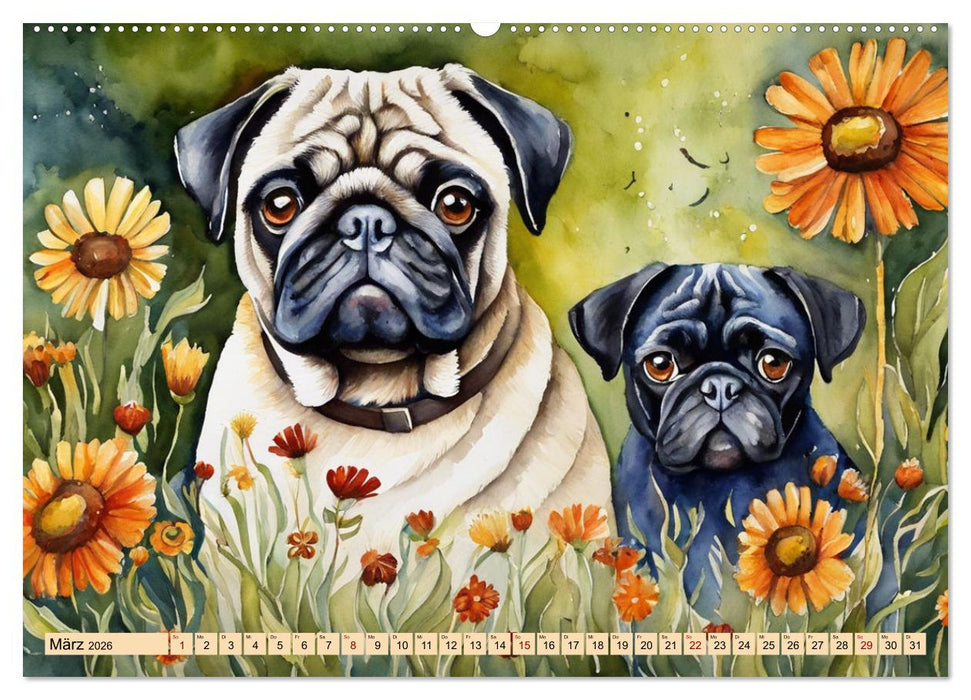 Knuffige Möpse (CALVENDO Wandkalender 2026)