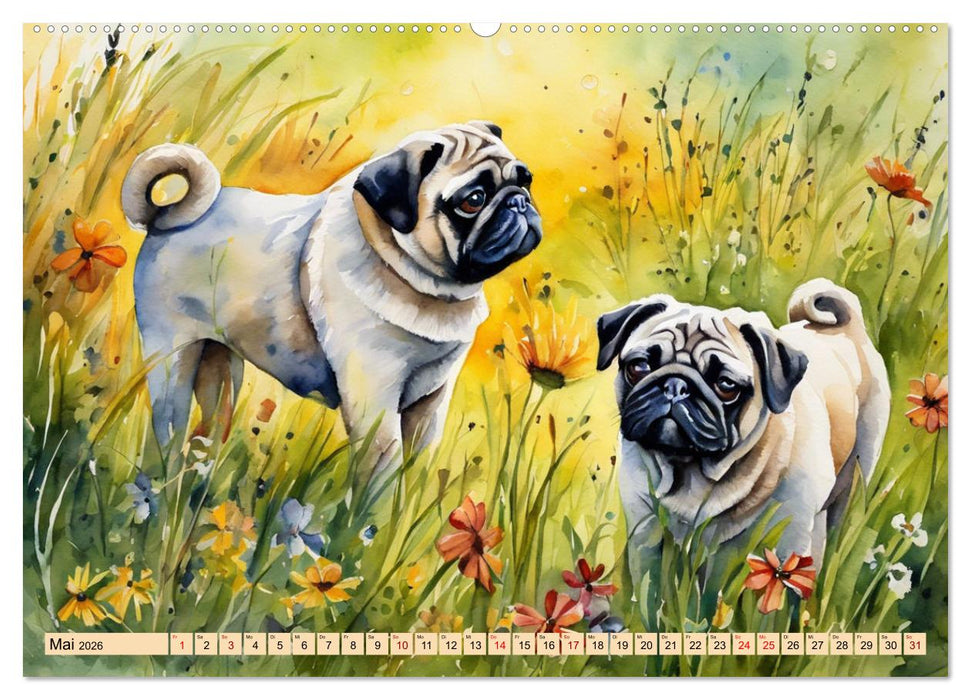 Knuffige Möpse (CALVENDO Wandkalender 2026)