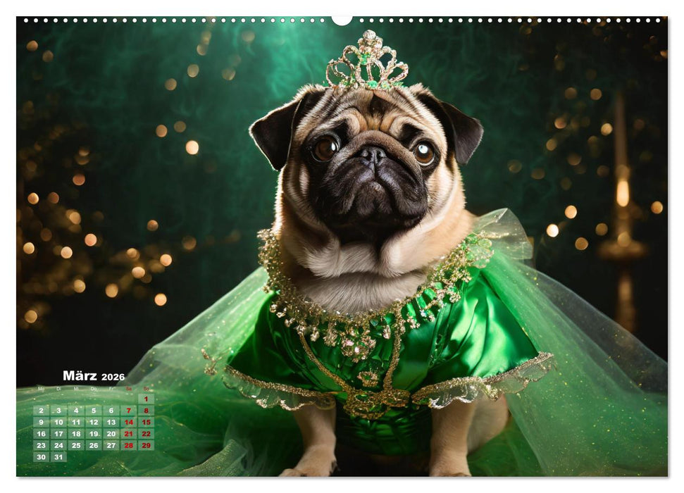 Kleine Hunde - Große Diven (CALVENDO Premium Wandkalender 2026)