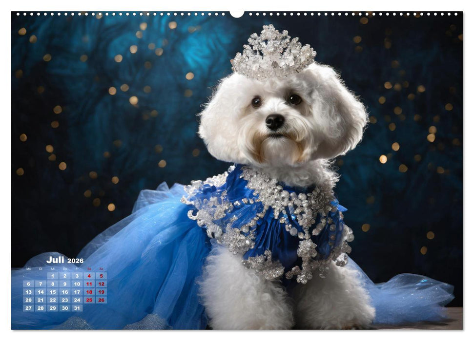Kleine Hunde - Große Diven (CALVENDO Premium Wandkalender 2026)