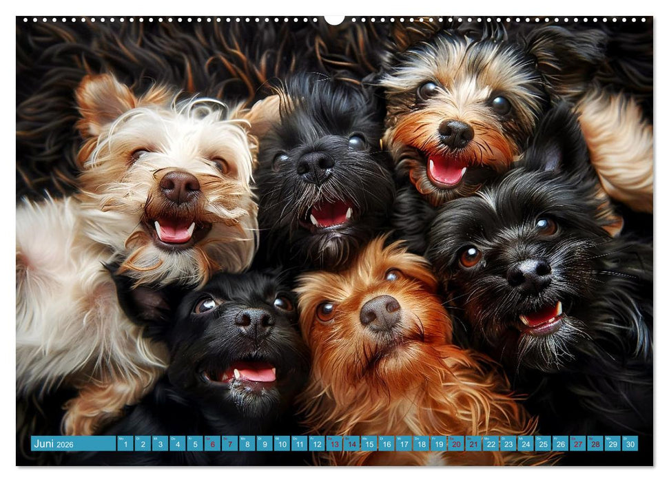 Lächelnde Hunde sind wie Sonnenschein auf vier Pfoten (CALVENDO Premium Wandkalender 2026)
