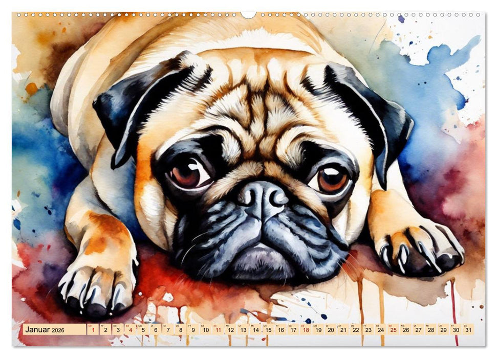 Knuffige Möpse (CALVENDO Premium Wandkalender 2026)