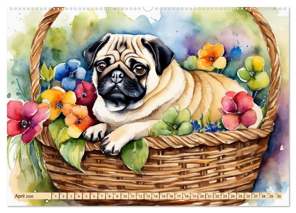 Knuffige Möpse (CALVENDO Premium Wandkalender 2026)