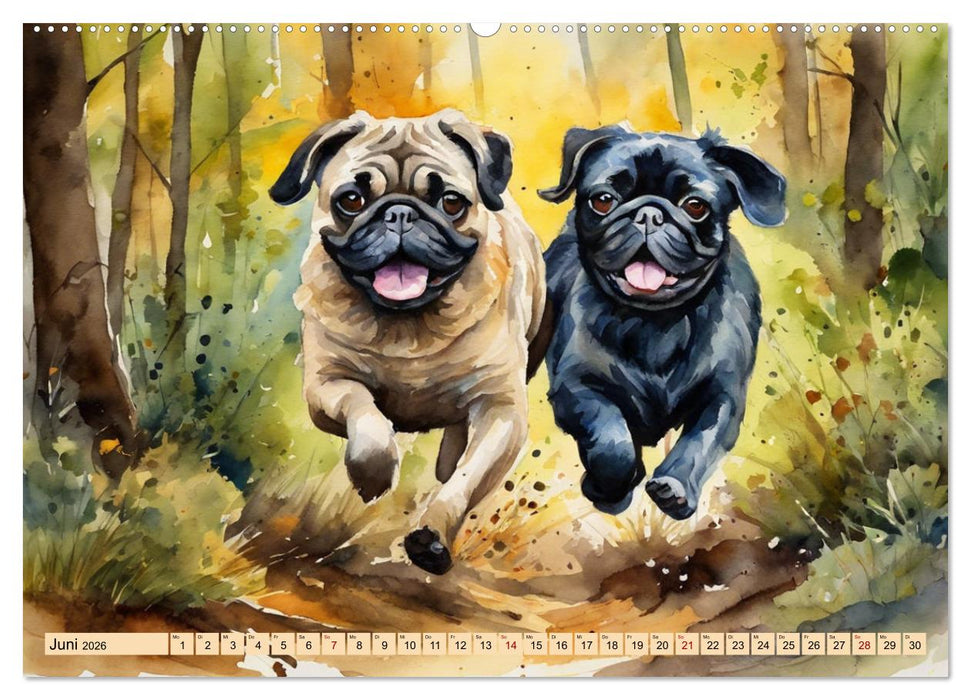 Knuffige Möpse (CALVENDO Premium Wandkalender 2026)