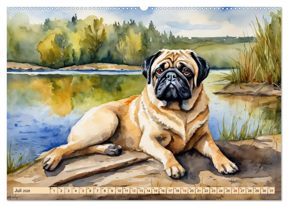 Knuffige Möpse (CALVENDO Premium Wandkalender 2026)