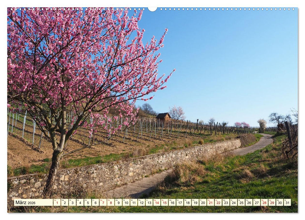 Bensheim a. d. Bergstraße - Ein Stadtspaziergang (CALVENDO Wandkalender 2026)