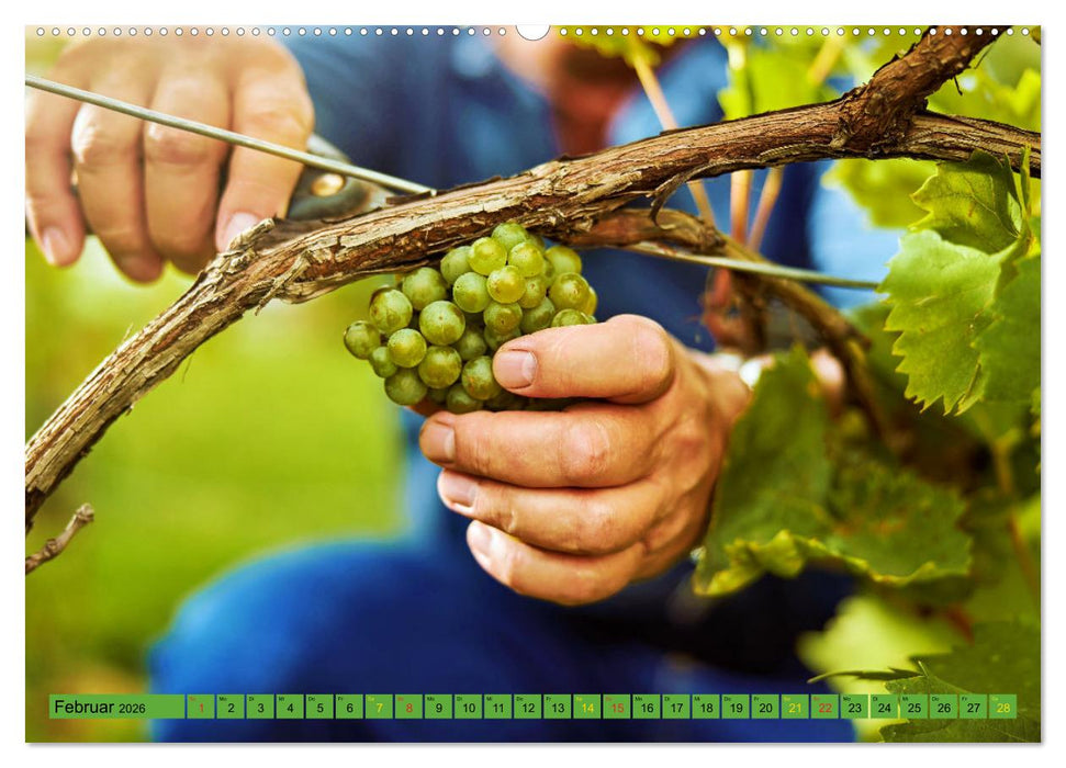 Rebensaft - Weingenuss (CALVENDO Wandkalender 2026)