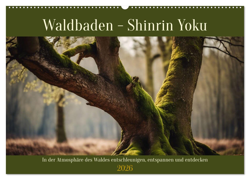 Waldbaden - Shinrin Yoku (CALVENDO Wandkalender 2026)