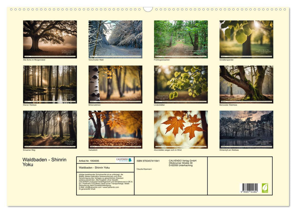 Waldbaden - Shinrin Yoku (CALVENDO Wandkalender 2026)