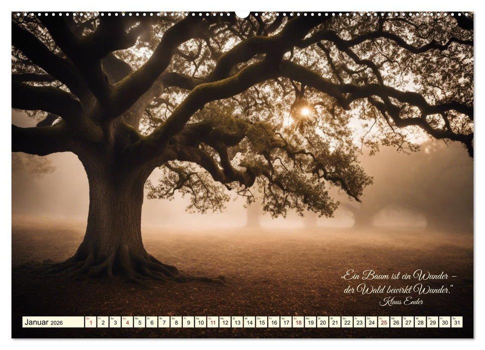 Waldbaden - Shinrin Yoku (CALVENDO Wandkalender 2026)