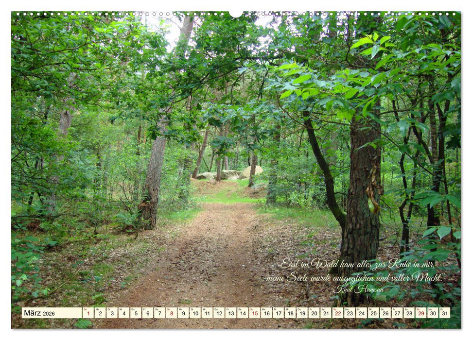 Waldbaden - Shinrin Yoku (CALVENDO Wandkalender 2026)