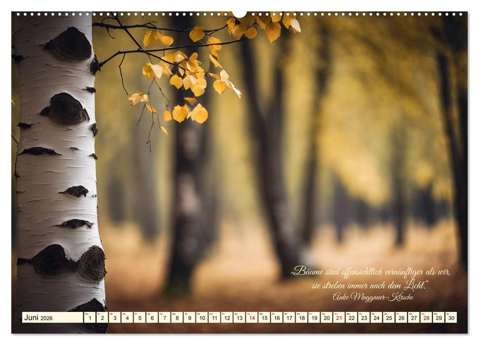 Waldbaden - Shinrin Yoku (CALVENDO Wandkalender 2026)