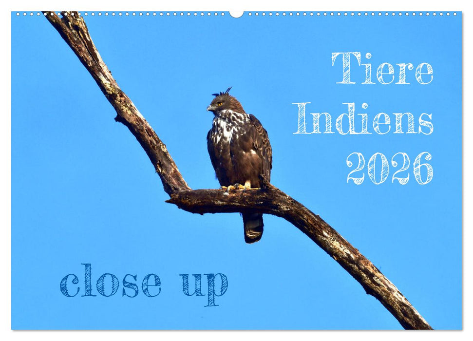 Tiere Indiens close up (CALVENDO Wandkalender 2026)