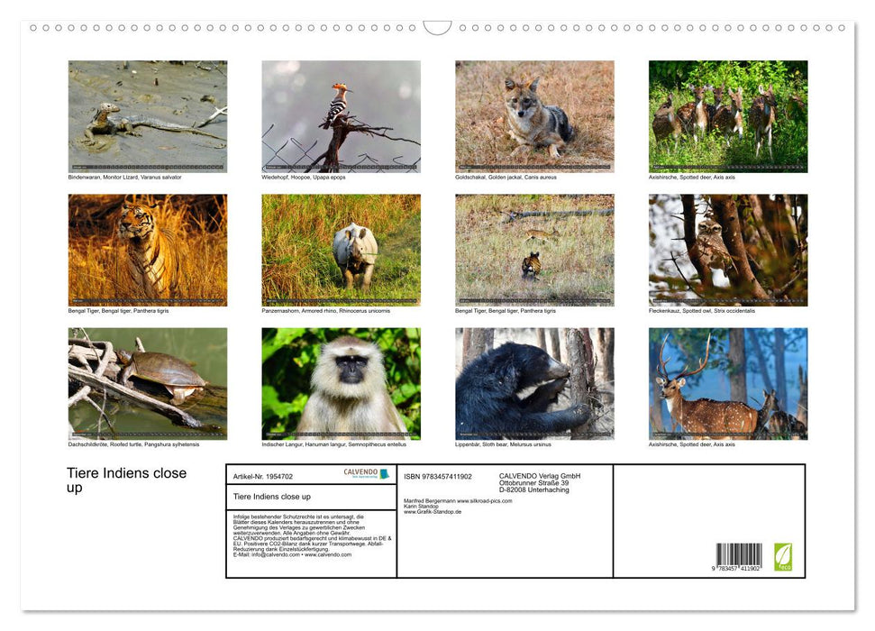 Tiere Indiens close up (CALVENDO Wandkalender 2026)