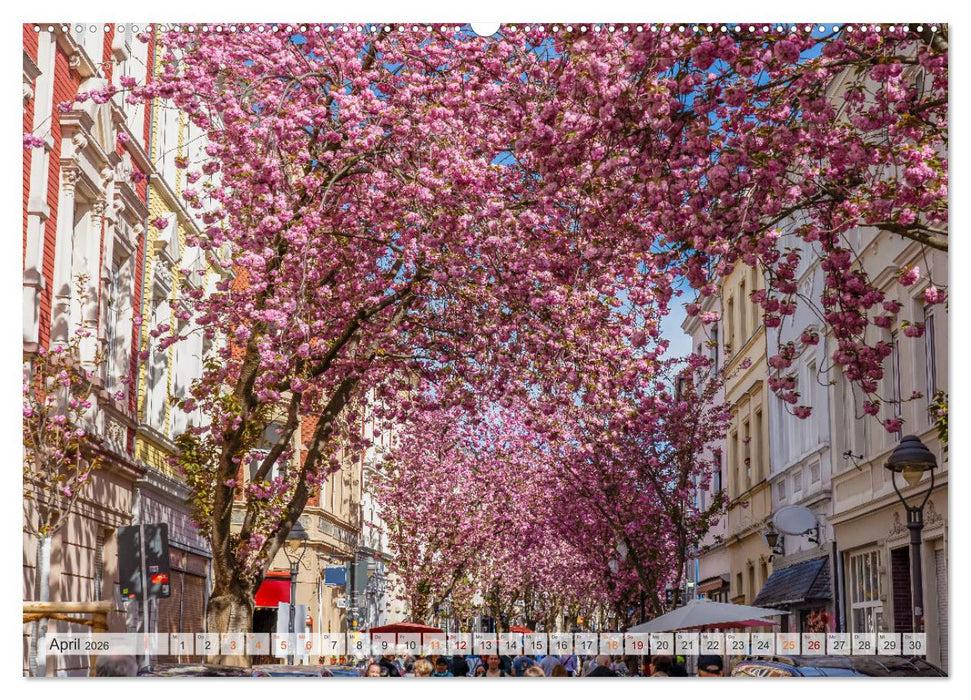 Bonn Impressionen (CALVENDO Premium Wandkalender 2026)