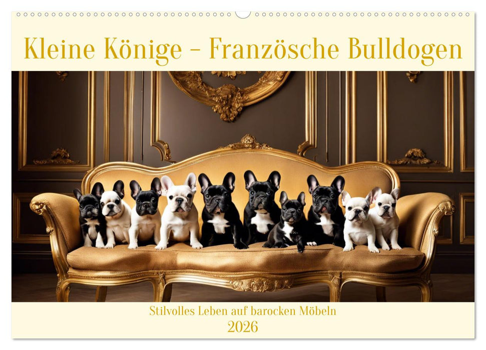 Kleine Könige - Französische Bulldoggen (CALVENDO Wandkalender 2026)