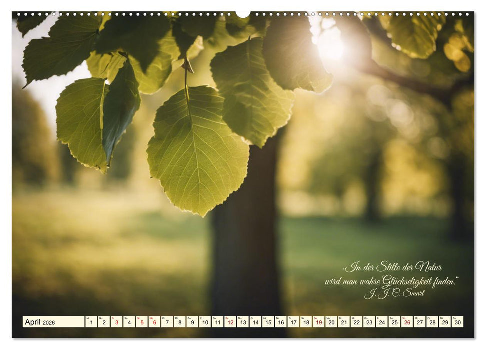 Waldbaden - Shinrin Yoku (CALVENDO Premium Wandkalender 2026)