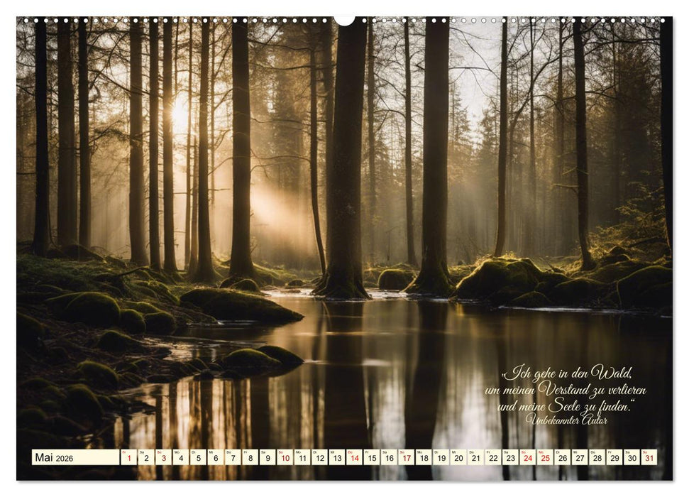 Waldbaden - Shinrin Yoku (CALVENDO Premium Wandkalender 2026)