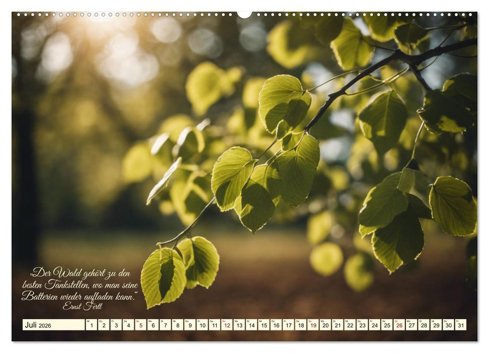 Waldbaden - Shinrin Yoku (CALVENDO Premium Wandkalender 2026)