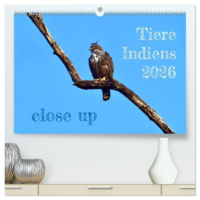 Tiere Indiens close up (CALVENDO Premium Wandkalender 2026)