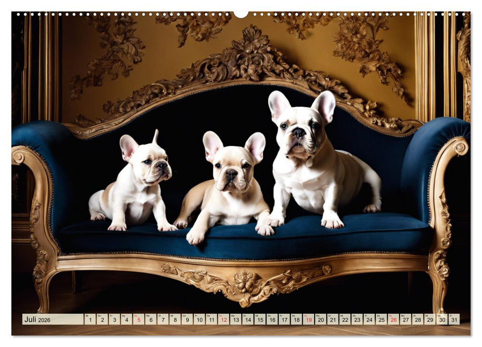 Kleine Könige - Französische Bulldoggen (CALVENDO Premium Wandkalender 2026)