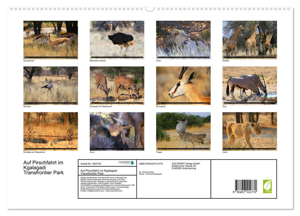 Auf Pirschfahrt im Kgalagadi Transfrontier Park (CALVENDO Premium Wandkalender 2026)