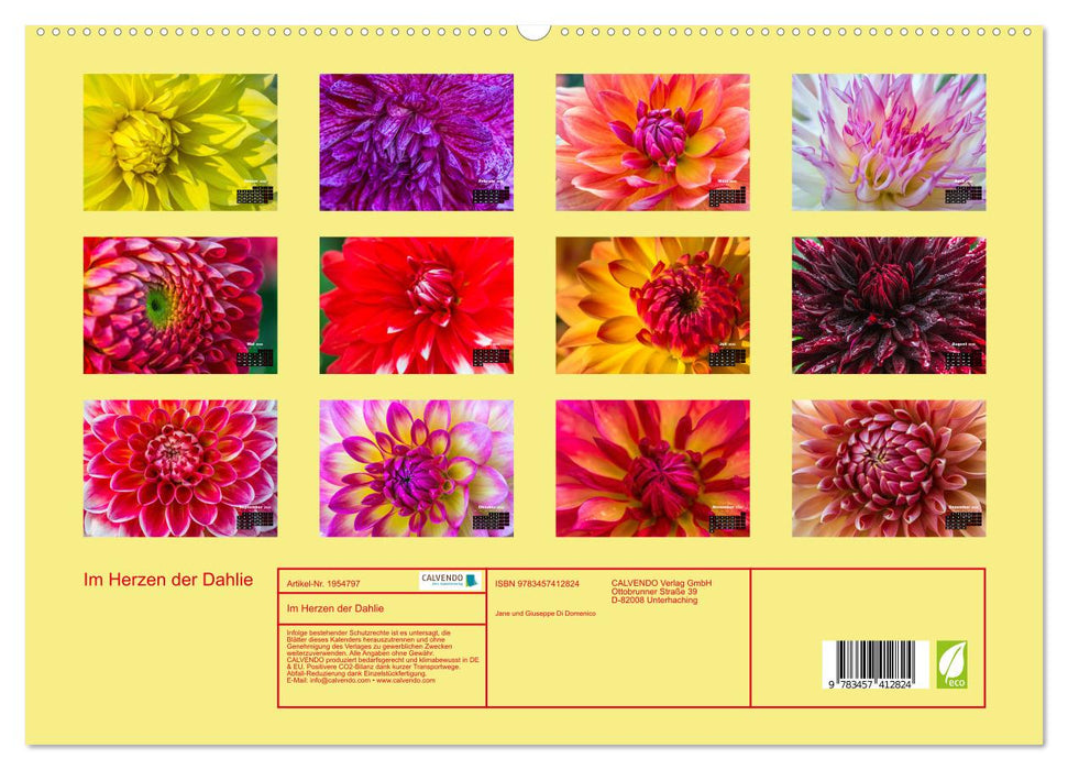 Im Herzen der Dahlie (CALVENDO Premium Wandkalender 2026)