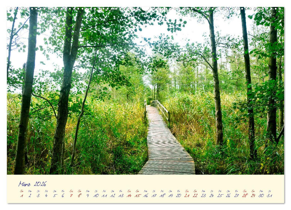 OSTSEEGLÜCK - Glücksmomente auf dem Darß (CALVENDO Wandkalender 2026)