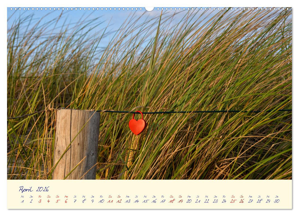 OSTSEEGLÜCK - Glücksmomente auf dem Darß (CALVENDO Wandkalender 2026)