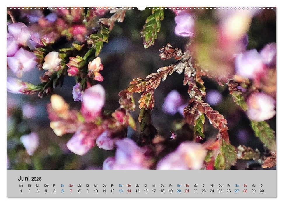 Max Macro (CALVENDO Premium Wandkalender 2026)