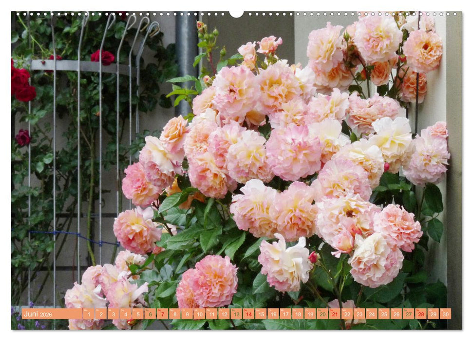 Wittstock-Dosse - Die Schlösser Freyenstein und Meyenburg (CALVENDO Premium Wandkalender 2026)