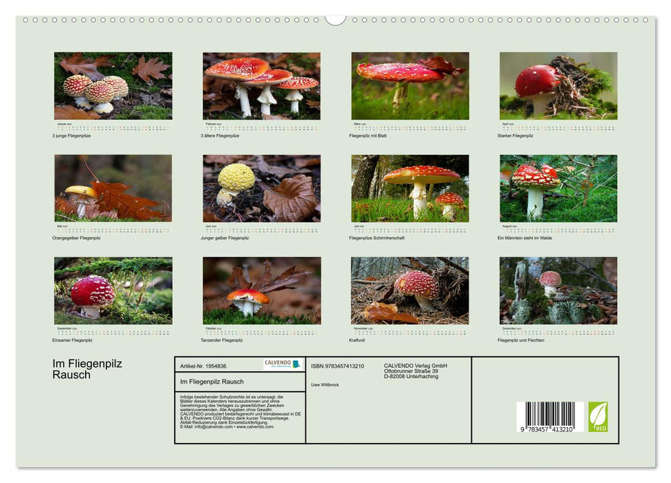 Im Fliegenpilz Rausch (CALVENDO Premium Wandkalender 2026)