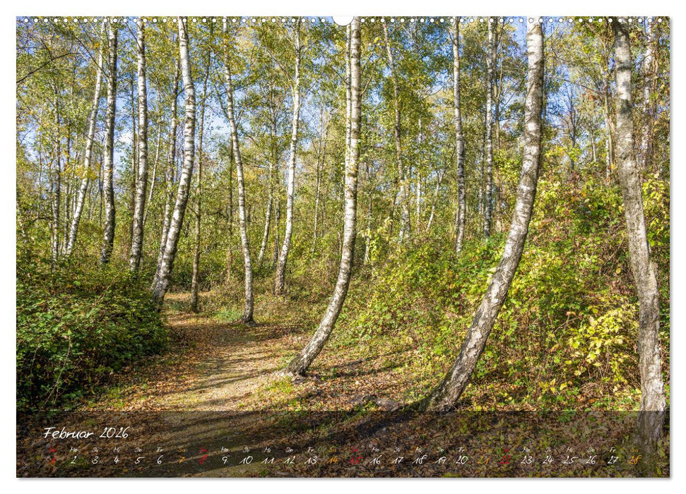 Hückelhovener Umland (CALVENDO Premium Wandkalender 2026)