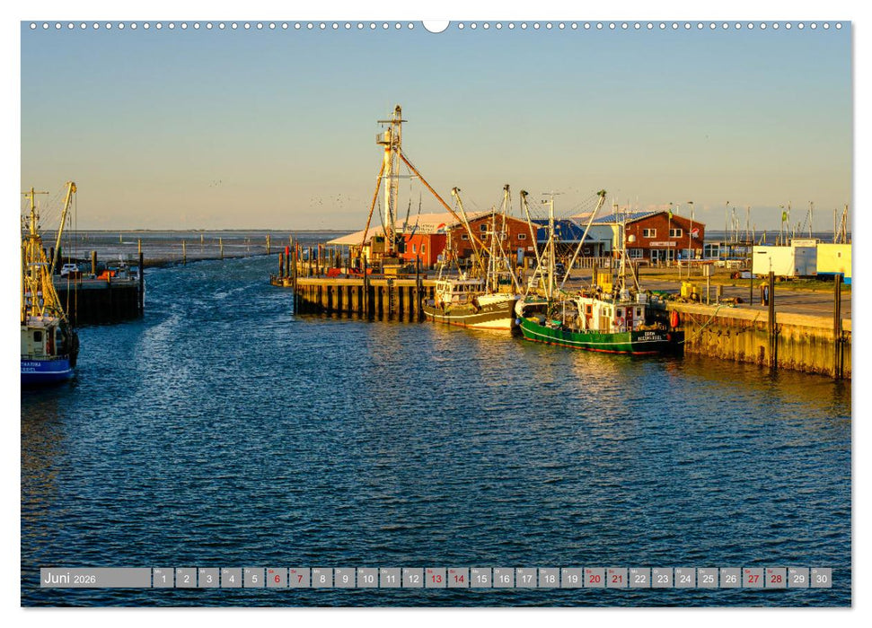 Ein Blick auf Dornum (CALVENDO Premium Wandkalender 2026)